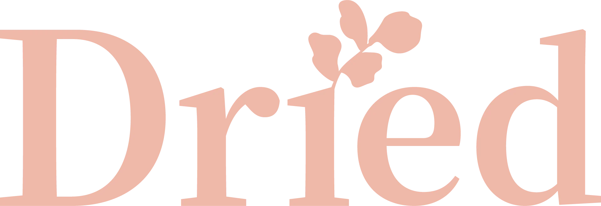 DRIED Flowers